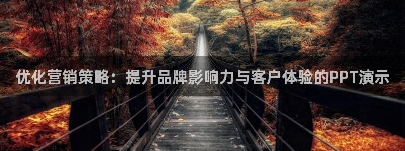 必赢国际437网页版
