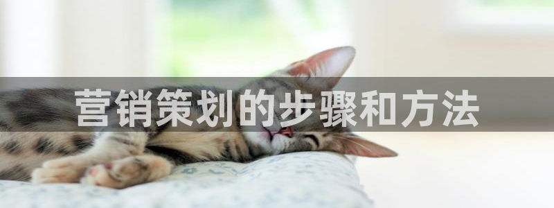 必赢客软件