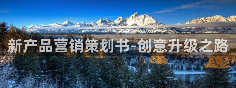 必赢手机app下载抢红包