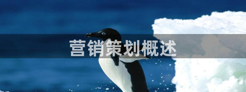 必赢下载安卓版