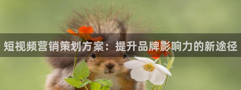 必赢国际app下链接