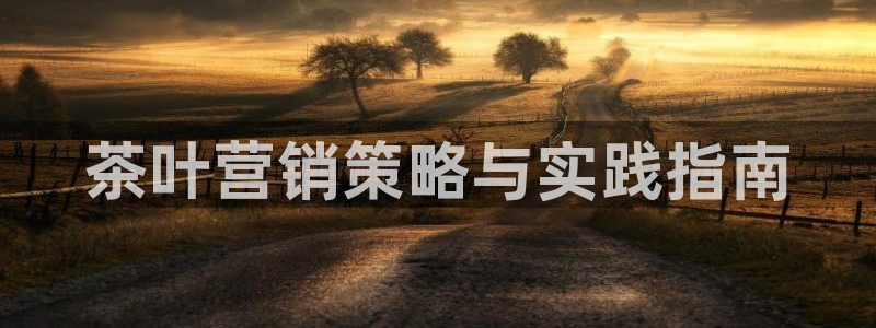 必赢科技中国有限公司
