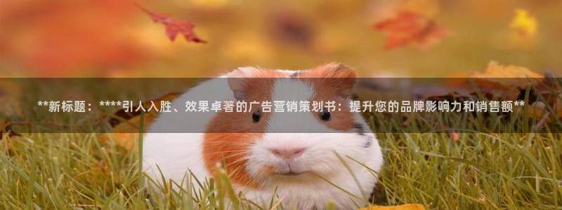 必赢手机app下载 最新版安卓苹果