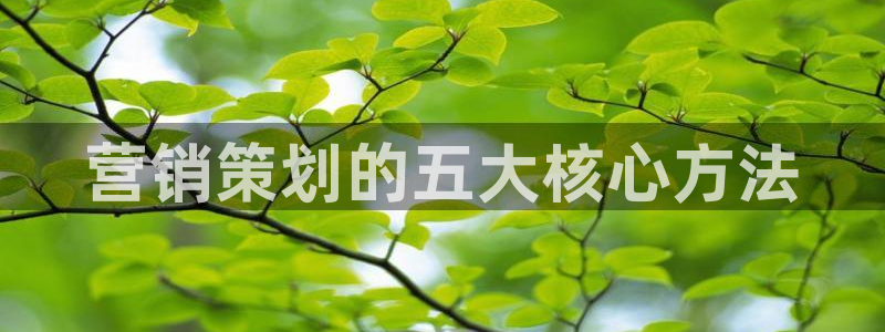 必赢手机版官网