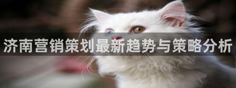 必赢下载安卓版最新版