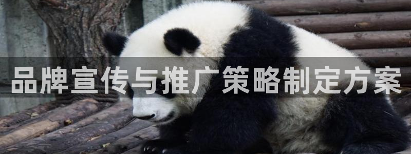 必赢抢红包网址