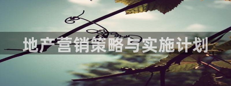 必赢qp