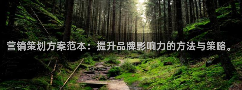 必赢国际技巧