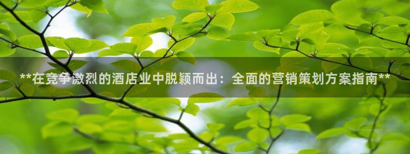 必赢3003 会员账号