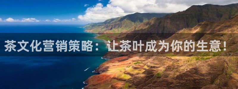 必赢516net怎么进