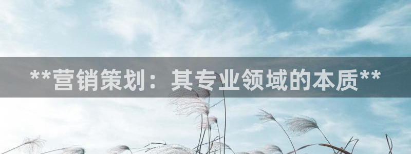 必赢线上网址是什么