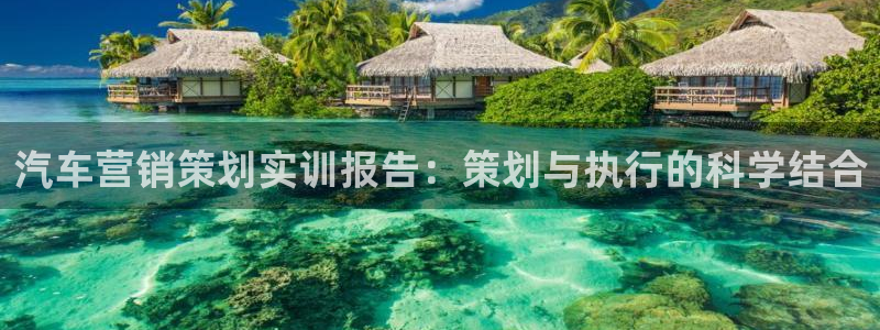 必赢8888