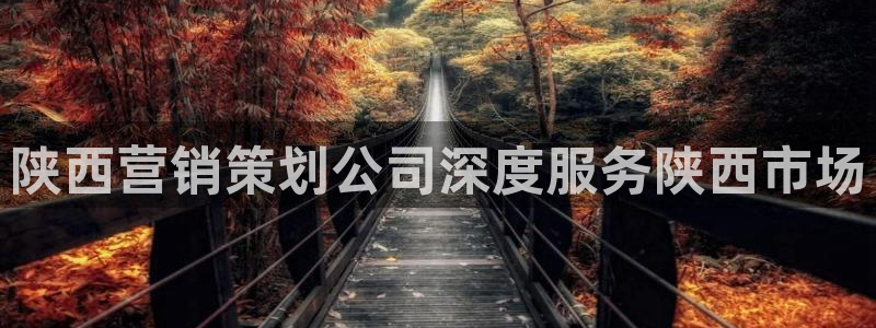 必赢平台怎么样知乎