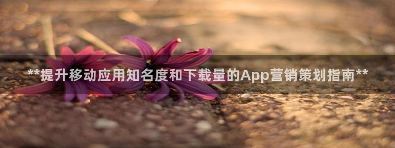 必赢客官方
