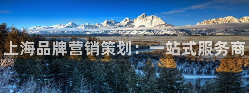 必赢.apk