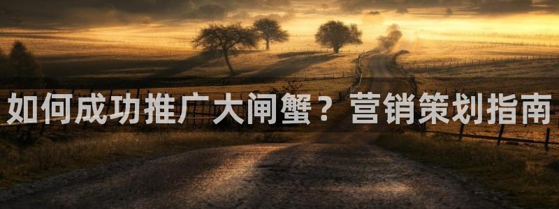 必赢网址手机主页打不开
