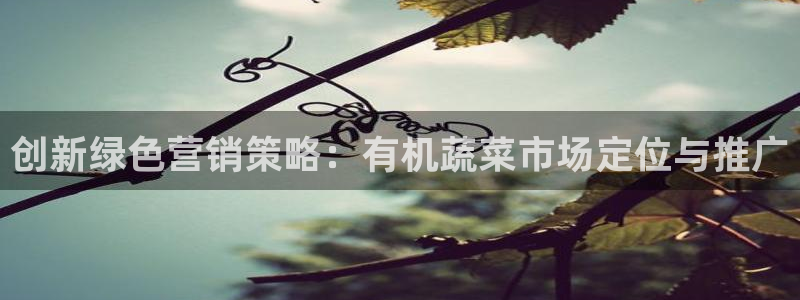 必赢官网app下载安装