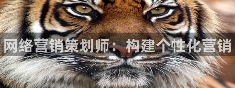 必赢888国际集团