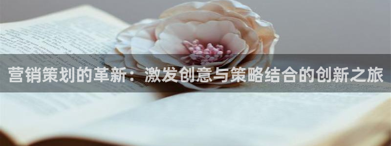 必赢平台怎么样