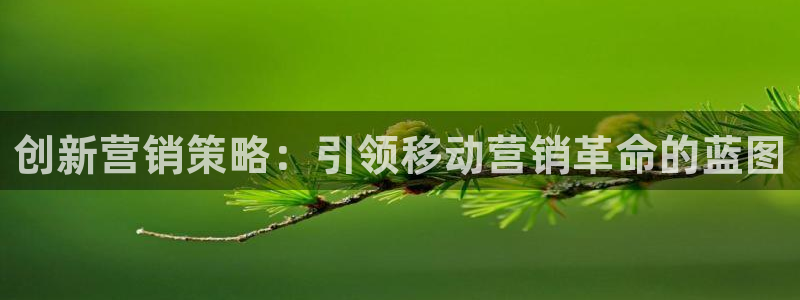 必赢集团winex