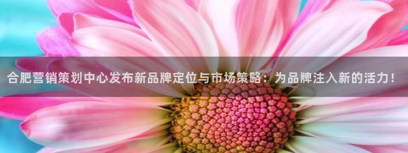 必赢国际技巧