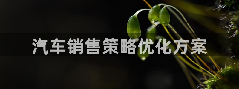 必赢下载软件