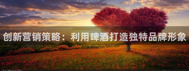 必赢官网app下载安装