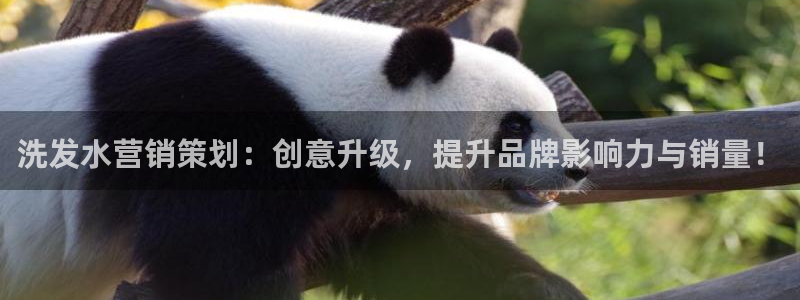 必赢网址手机主页