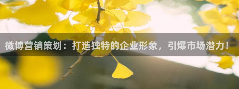 必赢72886后面字母是多少