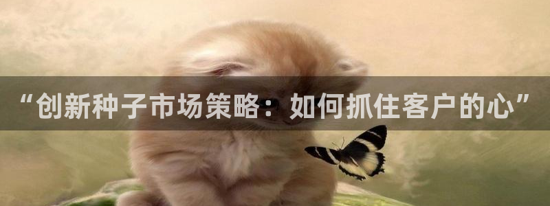 必赢官网app下载安装