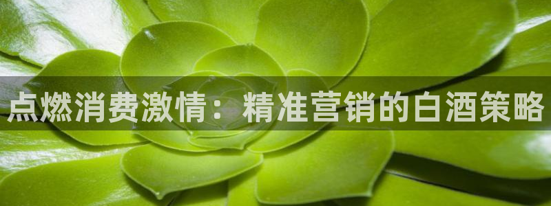 必赢活动安卓下载app