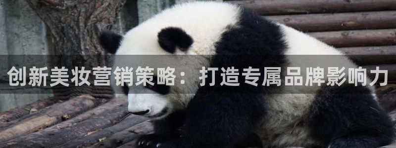 必赢国际app下链接
