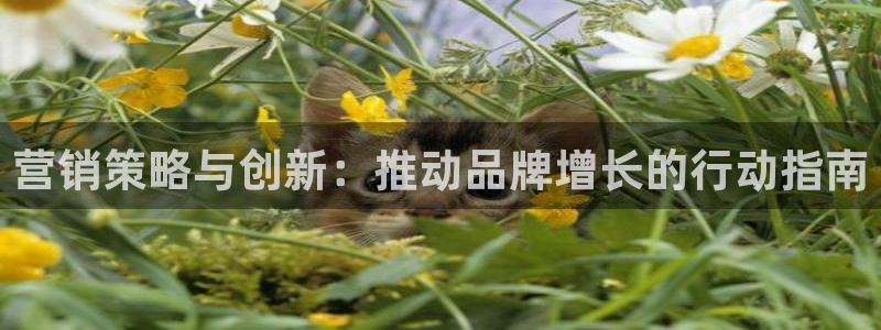 必赢这个平台怎么样知乎