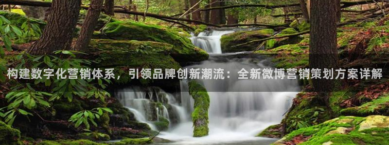必赢手机app下载安装最新版