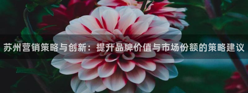 必赢官网网址8873