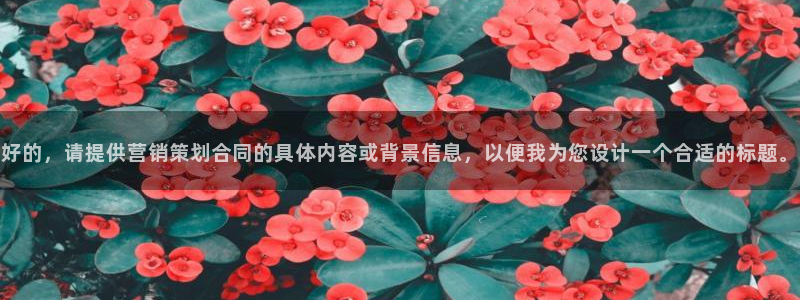 必赢手机app下载 最新版苹果