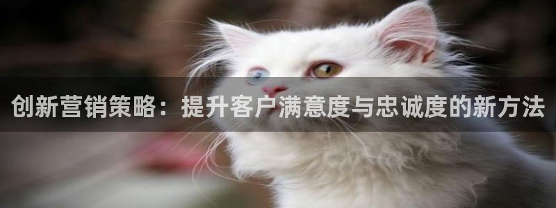 必赢网址手机主页在哪：创新营销