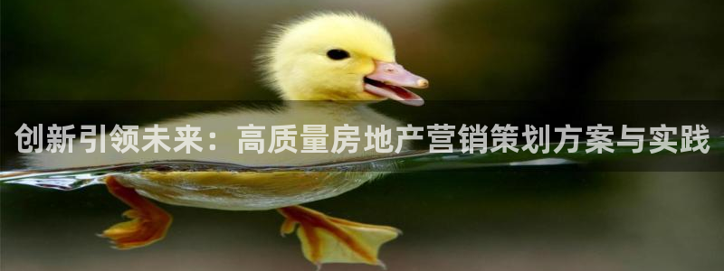 必赢官网网站入口下载