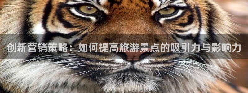 必赢官网app下载安装手机版