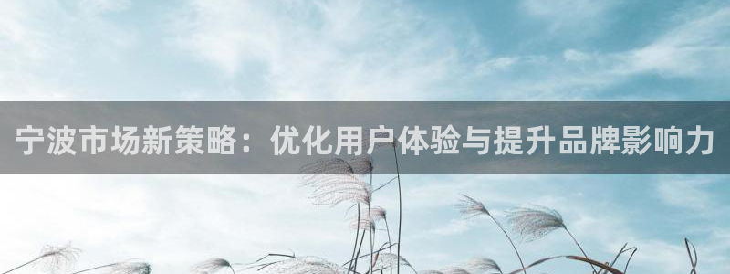 必赢科技中国有限公司