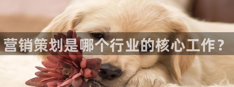必赢网址谁知道的