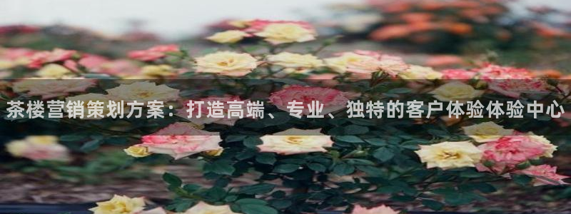 必赢公司是怎样的一家企业：茶楼