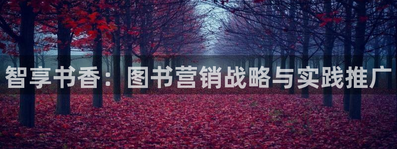 必赢网站mg冰球突破豪华版：智