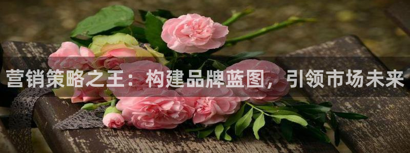 必赢网址谁知道是真的：营销策略