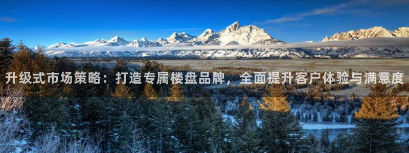 必赢账号