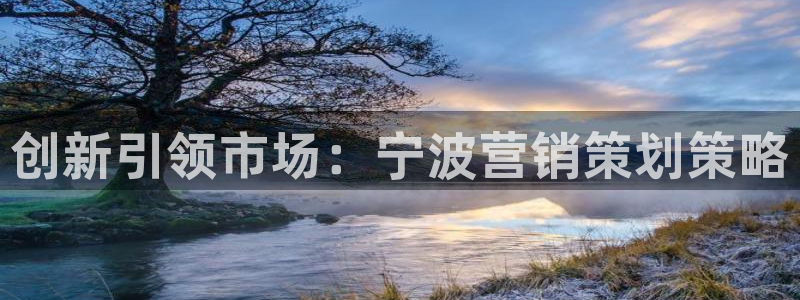 必赢棋脾