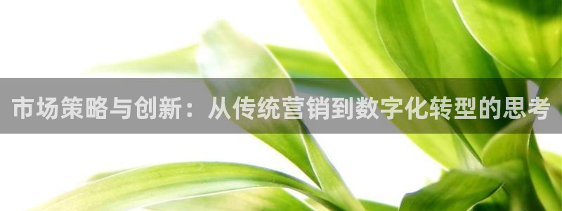必赢网站打不开