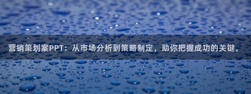 必赢网站平台登录