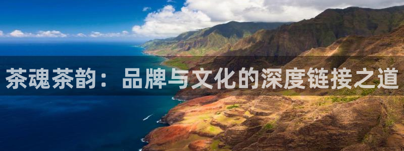 必赢官网网址多少号登录